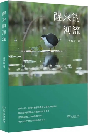 《醒来的河流》2